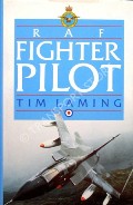 RAF Fighter Pilot  by LAMING, Tim 